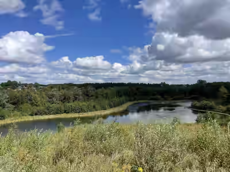 Udsigt over søen i Gjellerup Enge