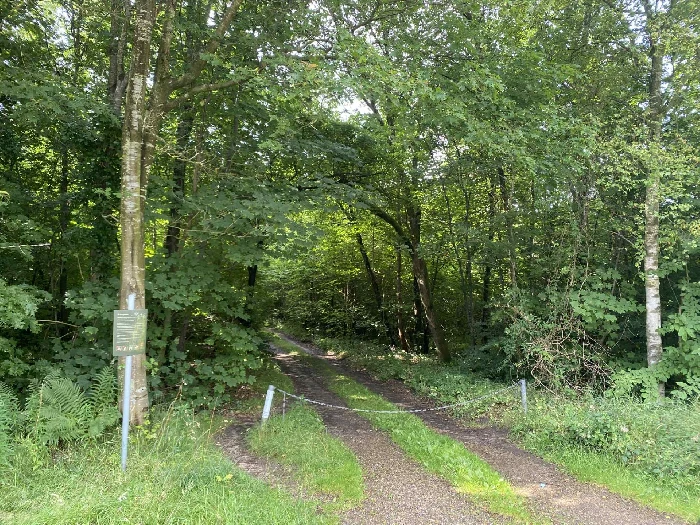 Indkørslen til Lunden ved Ravnsbjerg