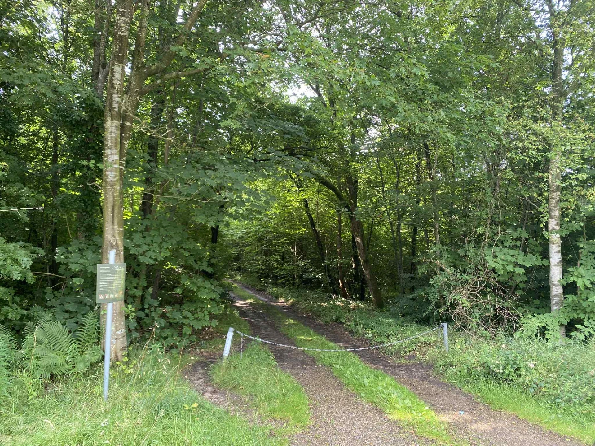 Indkørslen til Lunden ved Ravnsbjerg